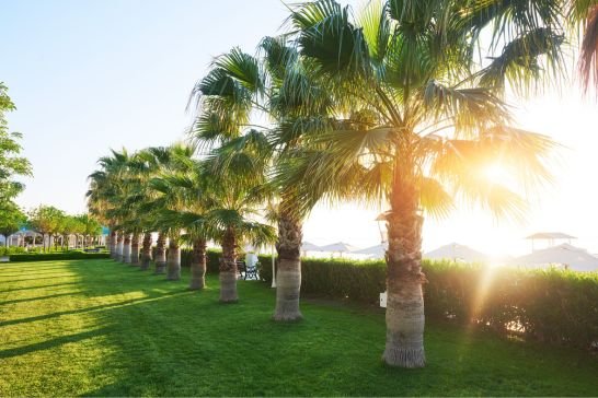 M3M Antalya Hills